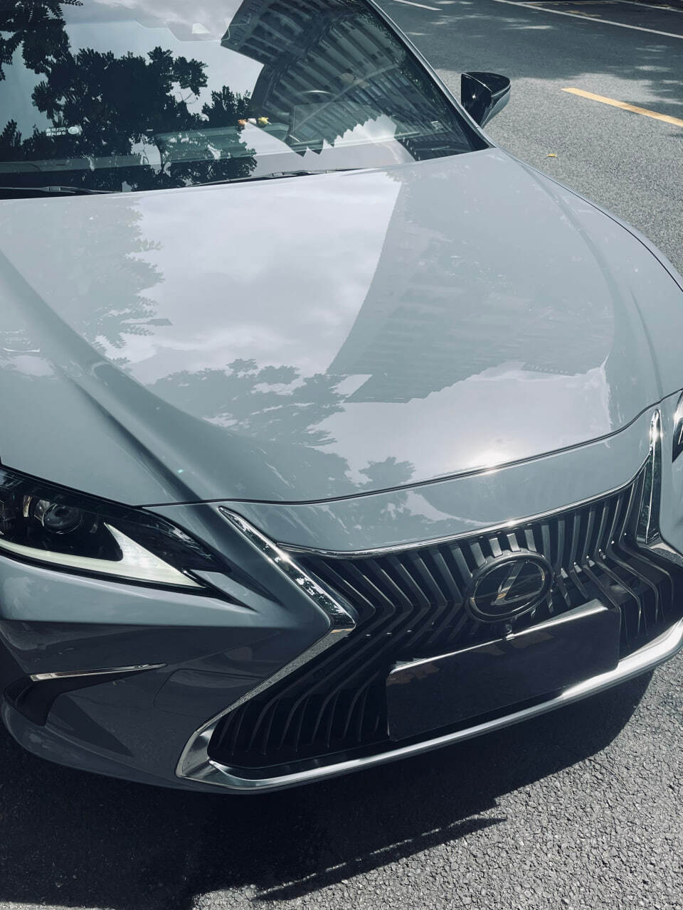 Arctic Grey