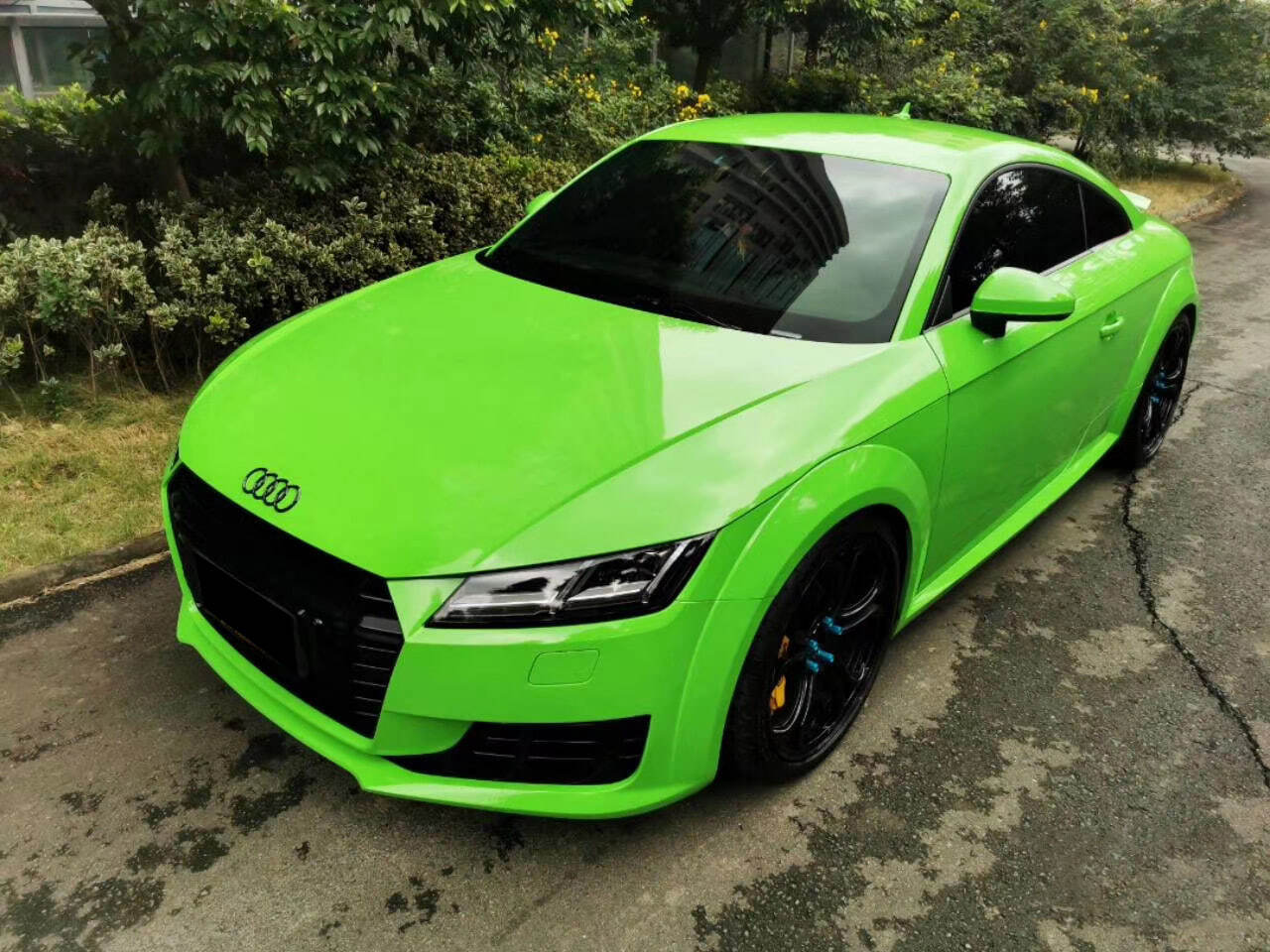 Viper Green