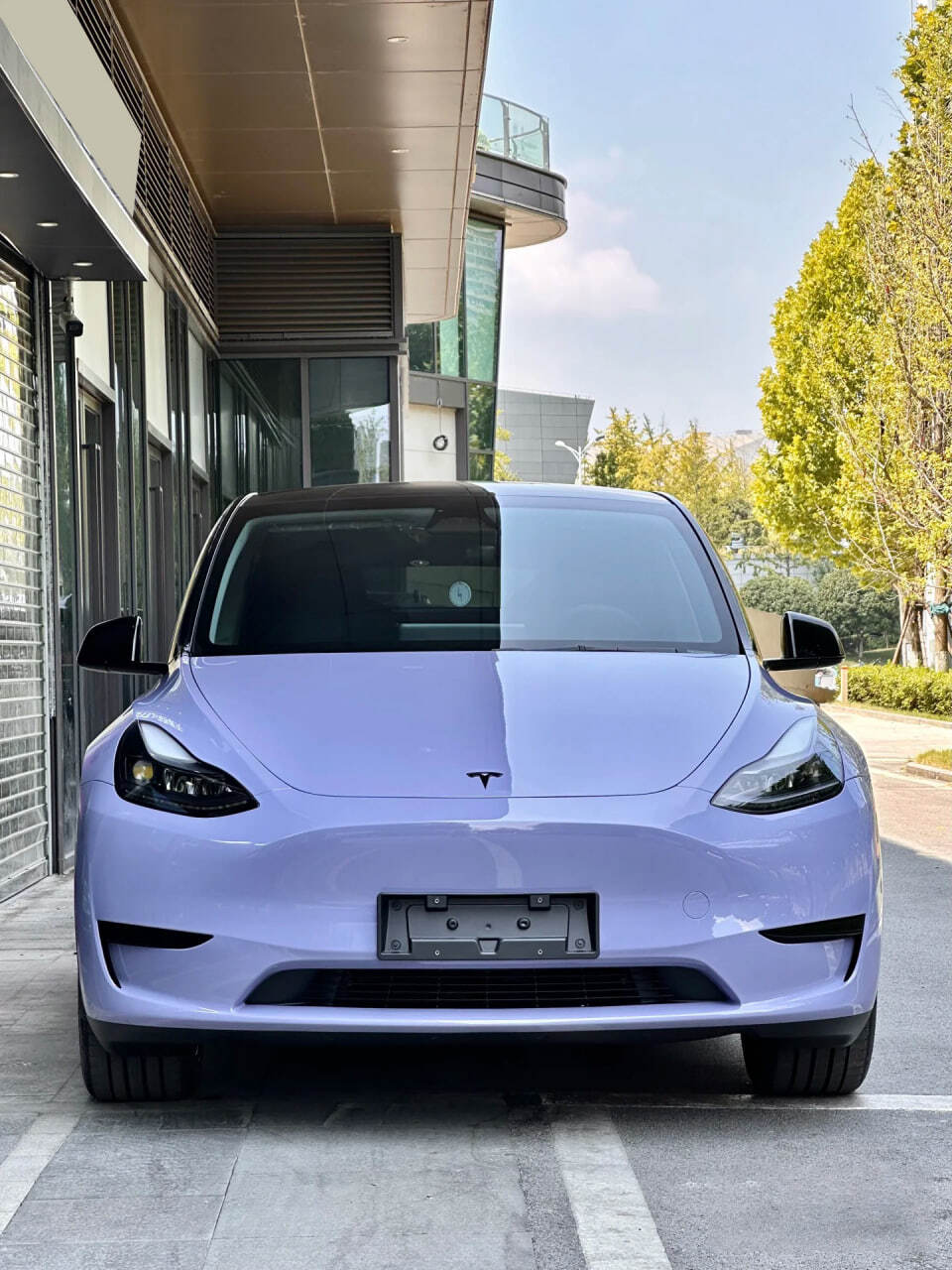 Victoria's Purple
