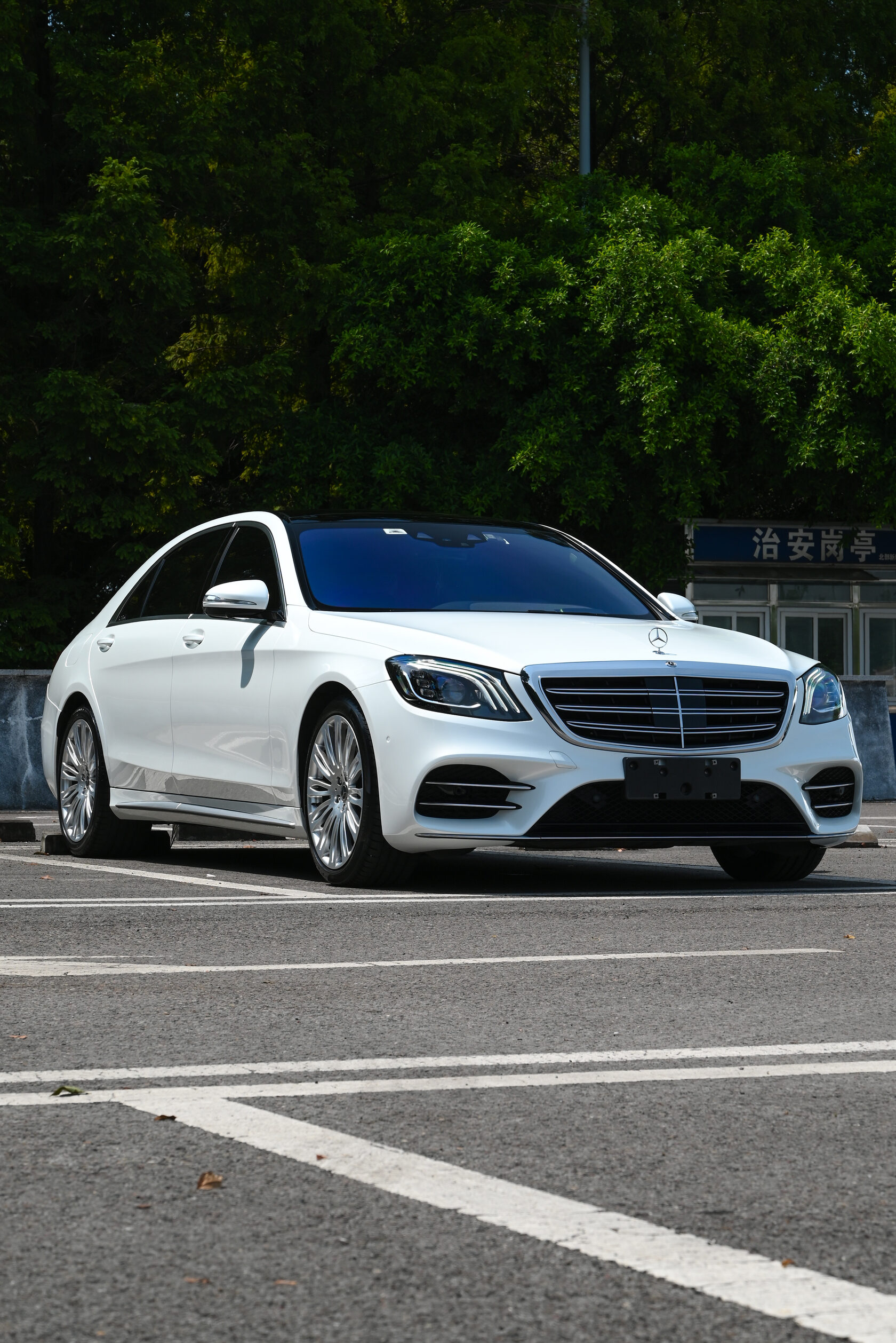Shell White