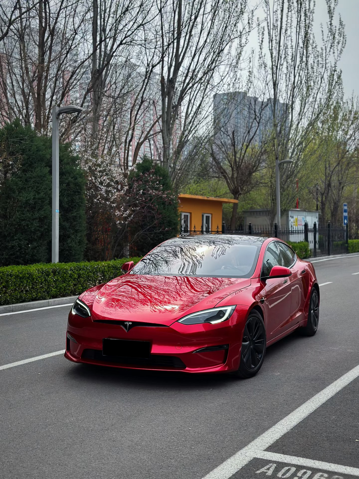 Liquid Cherry Red
