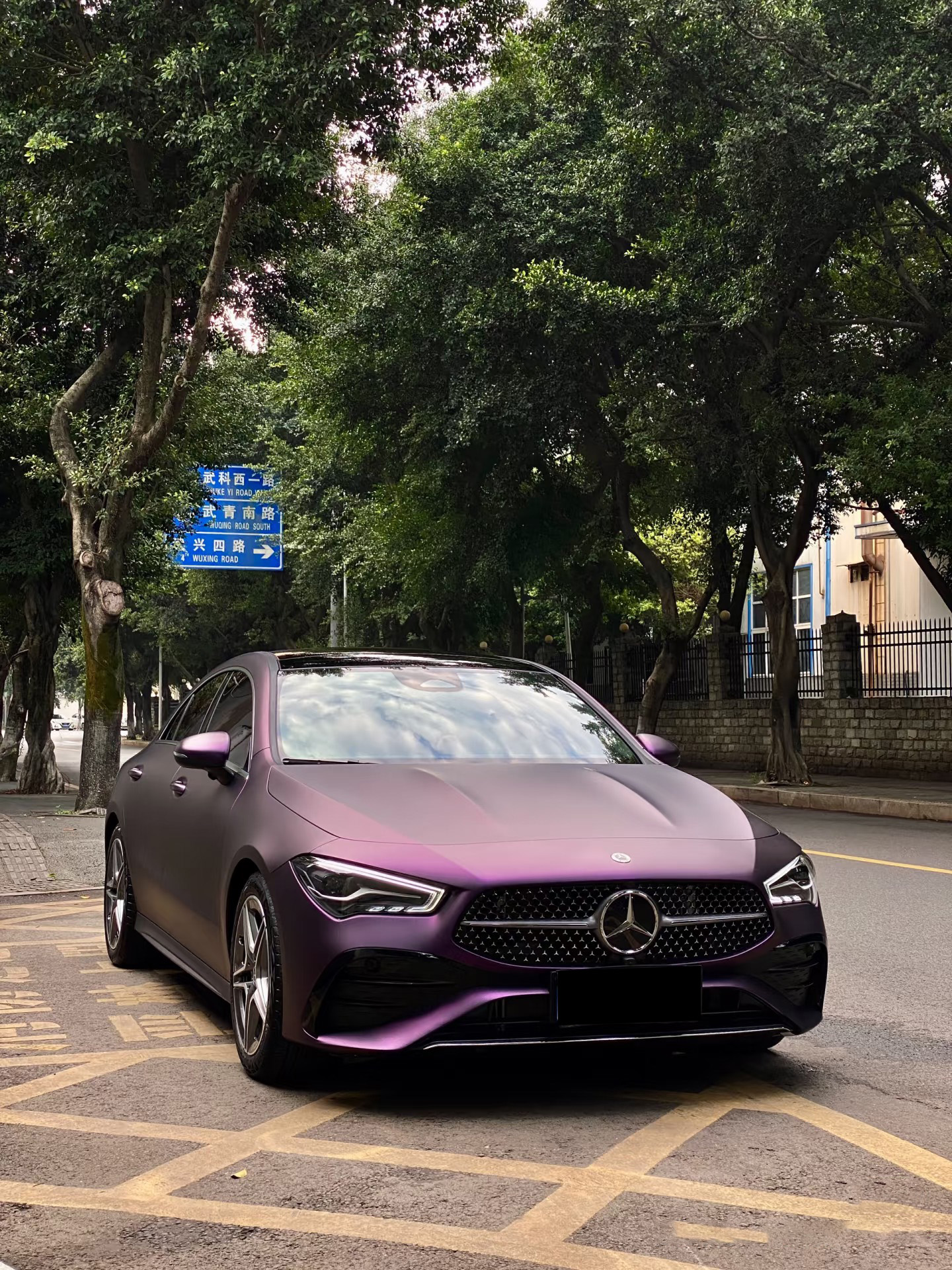 Matt Metal Night Purple