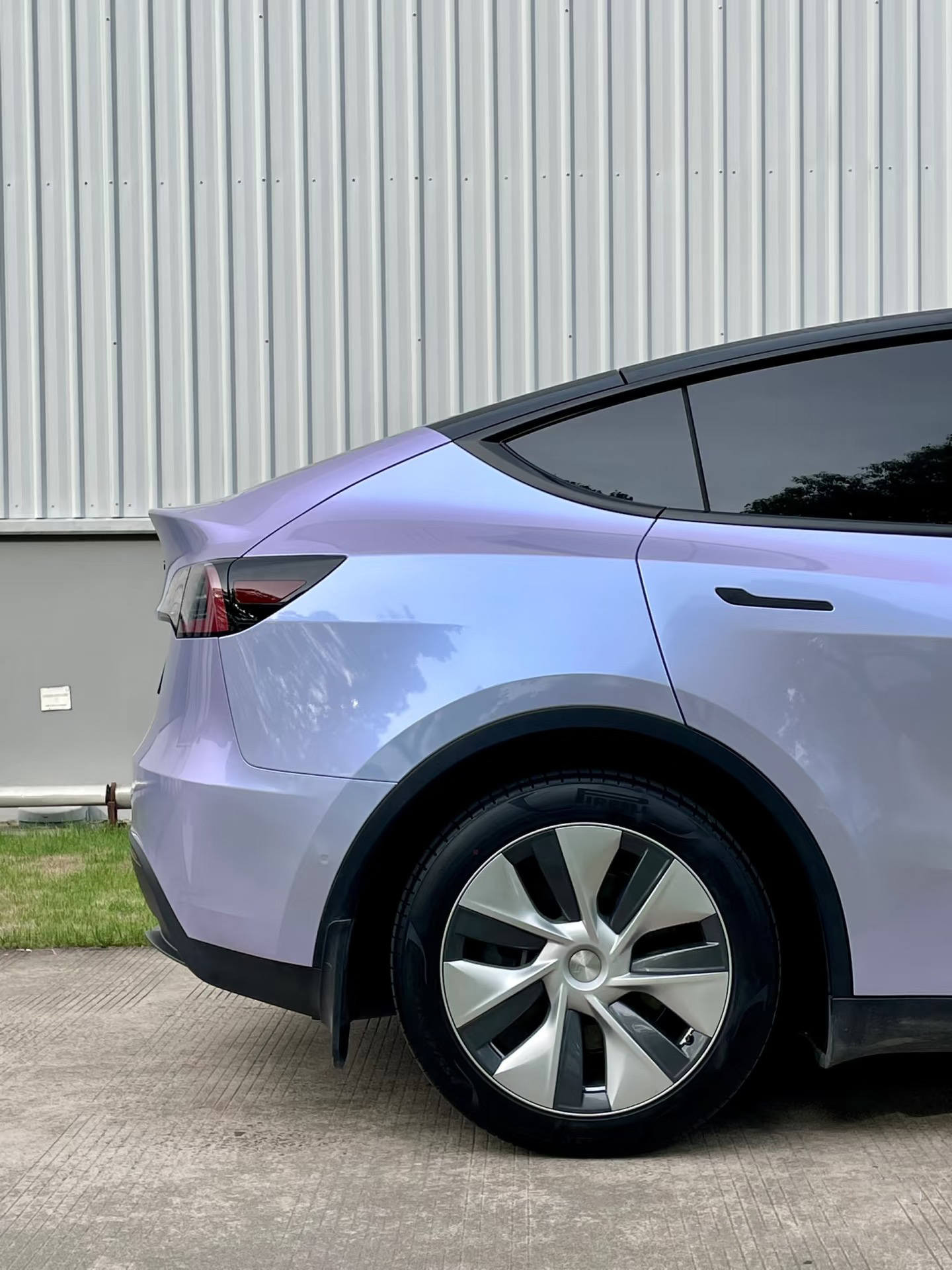 Chameleon Silver Purple