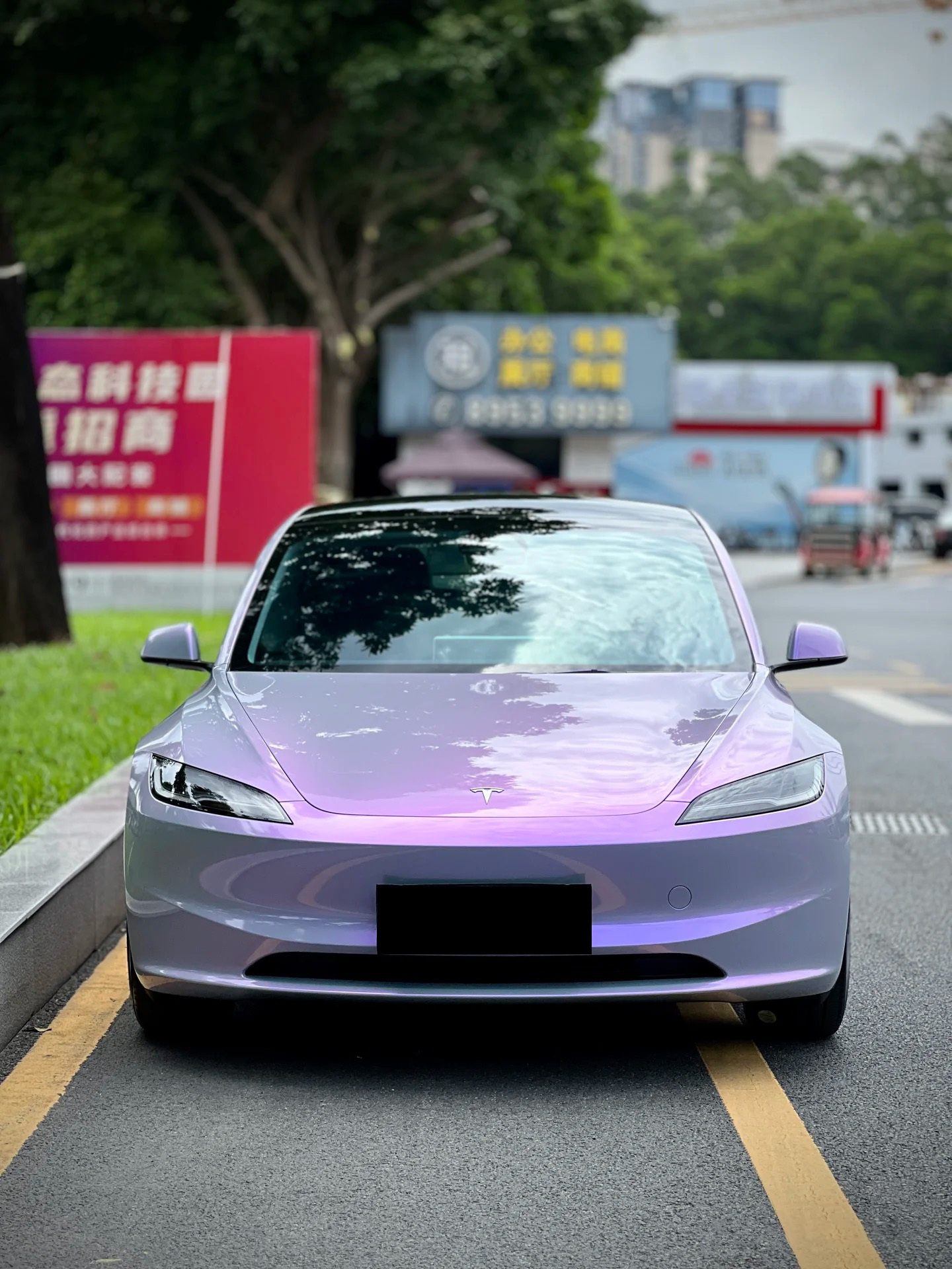 Chameleon Grey Purple